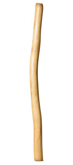 Medium Size Natural Finish Didgeridoo (TW1713)